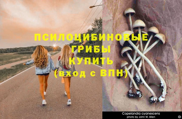 твердый Армянск