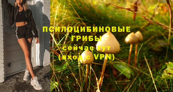 твердый Армянск