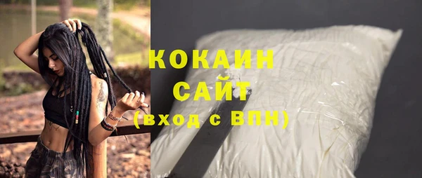 сатива Балахна