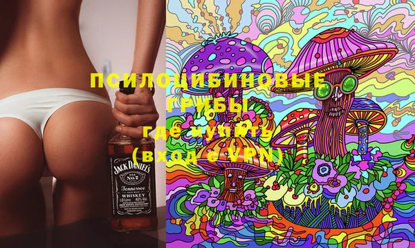 твердый Армянск