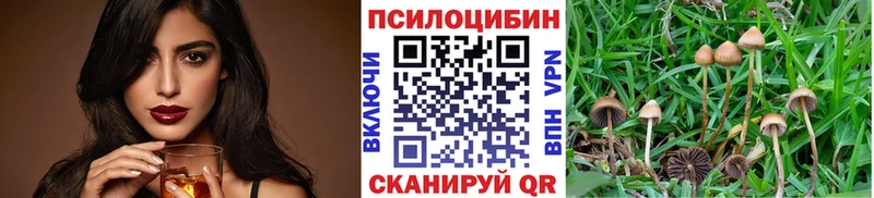где найти наркотики гидра зеркало Псилоцибиновые грибы прущие грибы Сычёвка